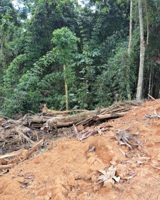 Polícia Militar Ambiental identifica desmatamento em área de vegetação nativa em Ibatiba