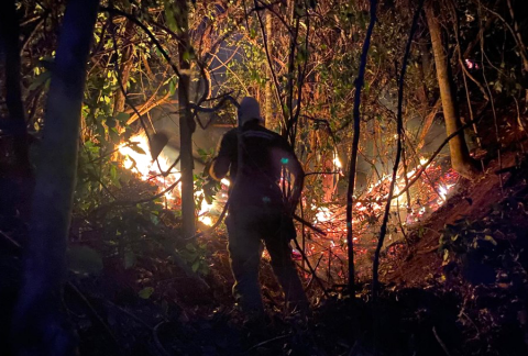 Operação Saturação do Corpo de Bombeiros intensifica combate a incêndios no ES