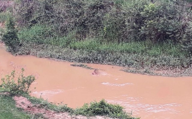 Corpo aparece boiando nas águas do Rio Pardo em Iúna na tarde de quarta (30)