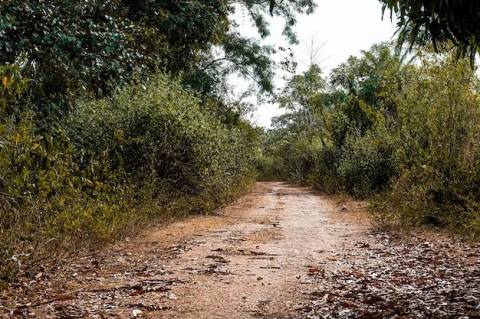 Corpo de homem com sinais de violência é encontrado em mata