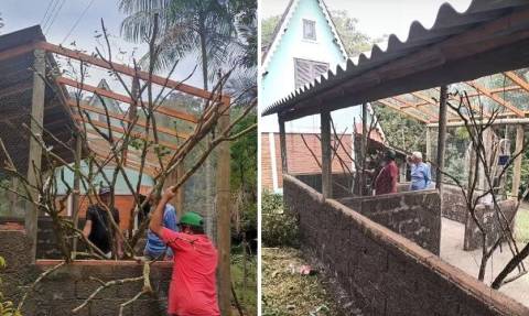 Centro de Reintrodução de Animais Silvestres será inaugurado no Caparaó Capixaba