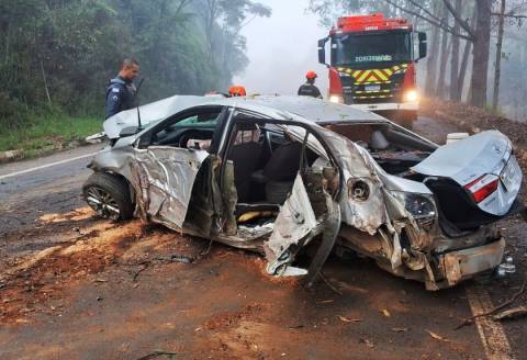 Suspeito de furtar carro em Castelo sofre acidente e é preso em Guaçuí