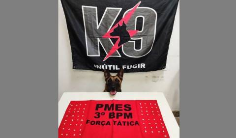 Força Tática e K9 da PM localizam pedras de crack em casa abandonada em Guaçuí