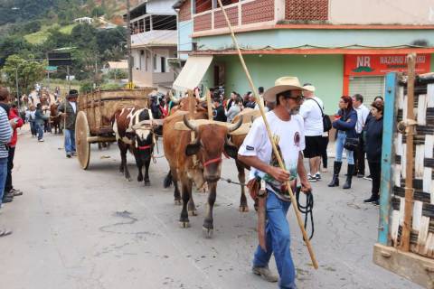 Desfile reúne 40 carros de boi na Festa e ExpoAgro de Divino de São Lourenço
