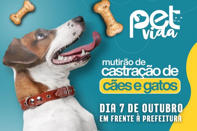 Pet Vida: Ibitirama terá mutirão de castração de cães e gatos