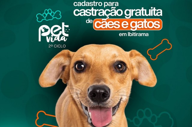 Petvida: abertas as inscrições para programa de castração em Ibitirama