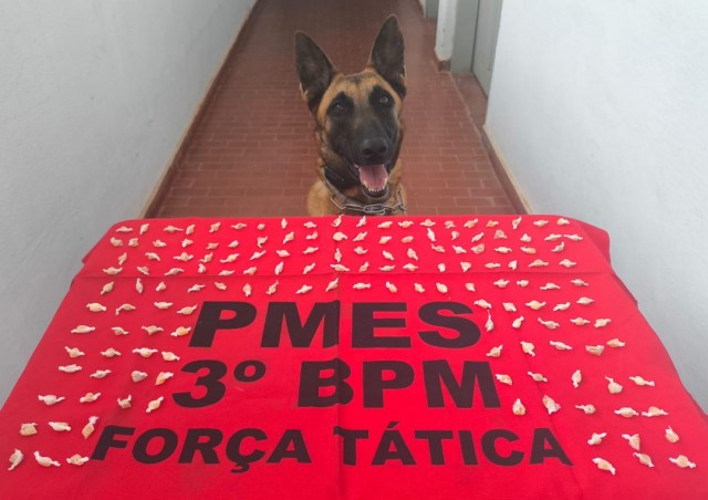 Mais de 150 pedras de crack são encontradas pela K9 Alga em Guaçuí