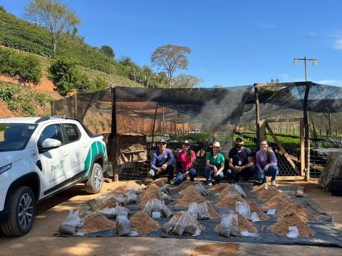 Iúna: experimento com substratos sustentáveis busca reduzir custos da produção de mudas de café