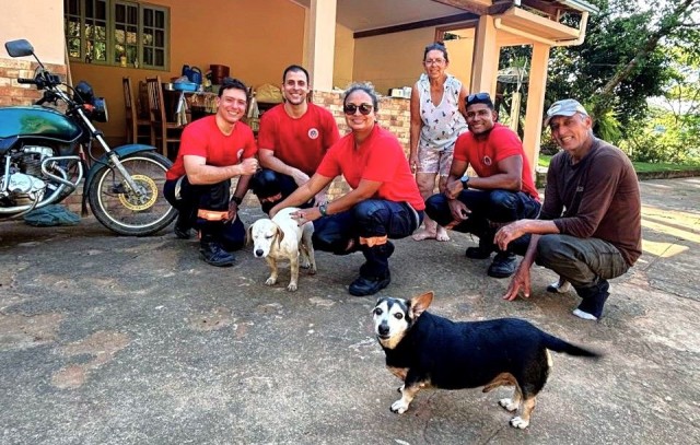Bombeiros e Defesa Civil resgatam cadela de rocha em comunidade de Muniz Freire