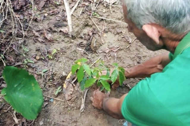 Projeto para recuperar nascentes em Dores do Rio Preto está com inscrições abertas