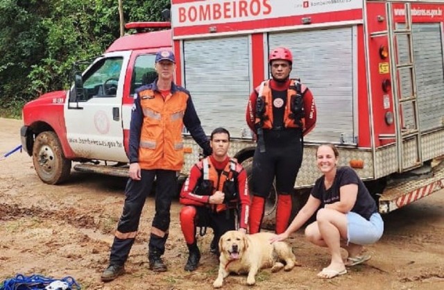 Corpo de Bombeiros resgata cachorro em rio de Conceição do Castelo