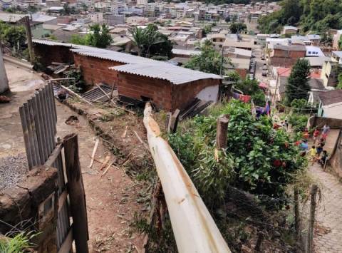 Eucalipto de 40 metros cai sobre residências em Ibatiba