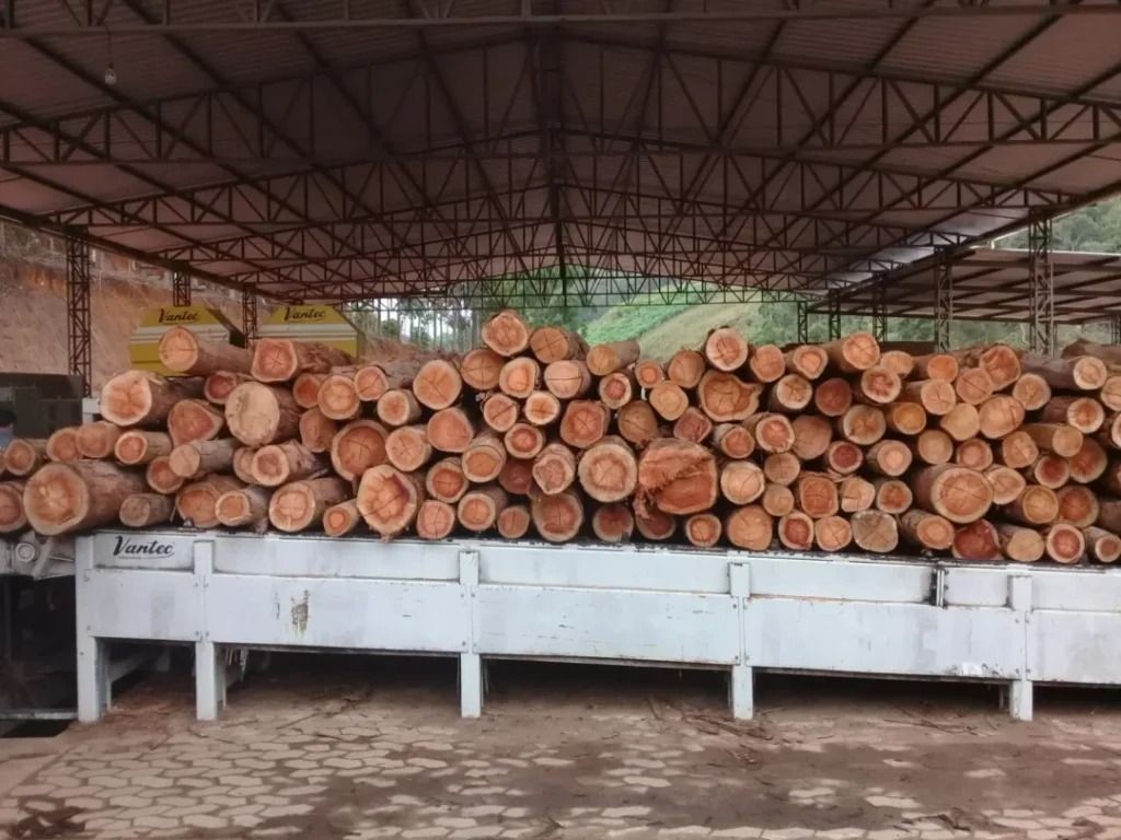 Amostras de madeira de eucalipto utilizadas em pesquisa sobre modificação térmica no campus de Alegre da Ufes.