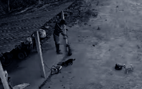 Imagem de câmera de segurança mostrando momento de agressão a cachorro em área rural, usada como prova em investigação do MPES.