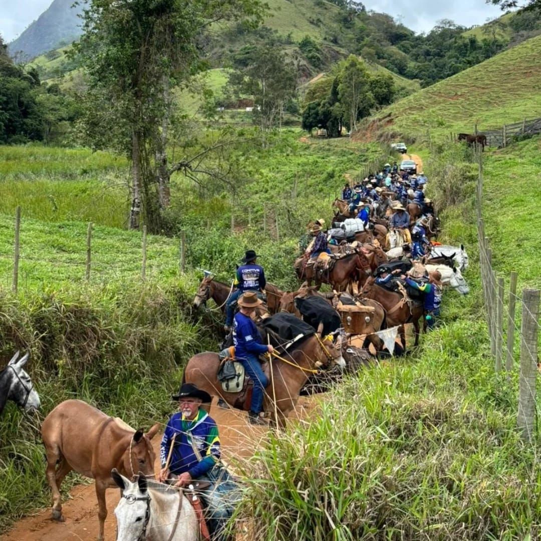 Vista aérea mostra longa fila de tropeiros e animais atravessando zona rural capixaba.
