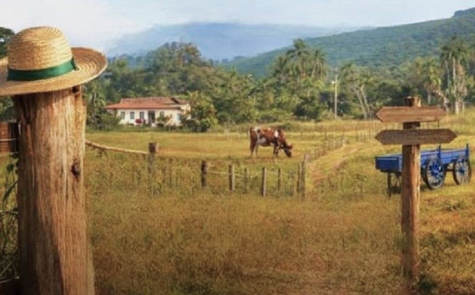 Paisagem rural com cerca de madeira, cavalo no pasto e propriedades ao fundo, representando o turismo rural e a valorização do meio rural em Irupi.
