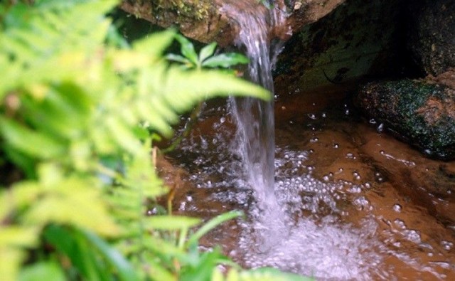 Produtores de Alegre podem receber até R$ 14 mil por preservação ambiental