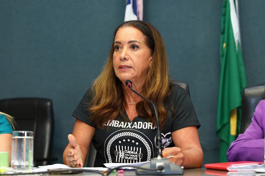 Deputada estadual Janete de Sá durante reunião na Assembleia Legislativa do Espírito Santo, falando ao microfone sobre projeto que altera regras para criação e circulação de cães.