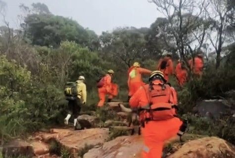 Equipe da Força-Tarefa percorrendo uma das trilhas na Serra do Caparaó, durante as buscas pelos dois irmãos que estavam perdidos.