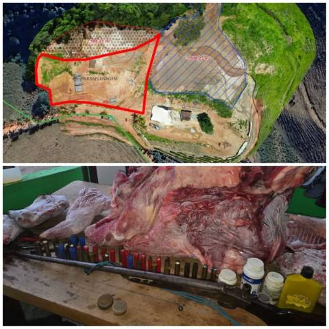 Polícia Ambiental flagra desmatamento e caça ilegal em Iúna e Ibitirama
