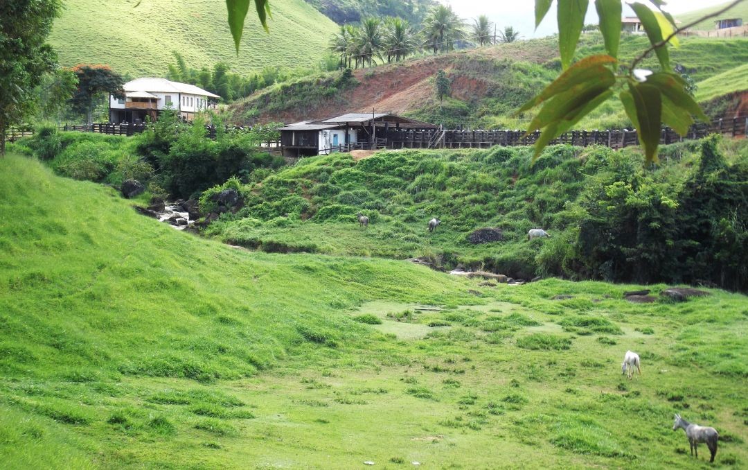 Propriedade rural com pastagem, animais e instalações agrícolas em área de produção da agricultura familiar no Caparaó Capixaba.