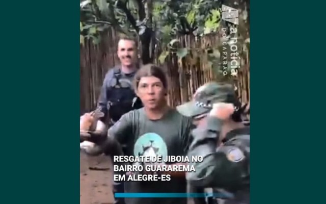 Mais uma Jiboia é resgatada em Alegre, no bairro Guararema