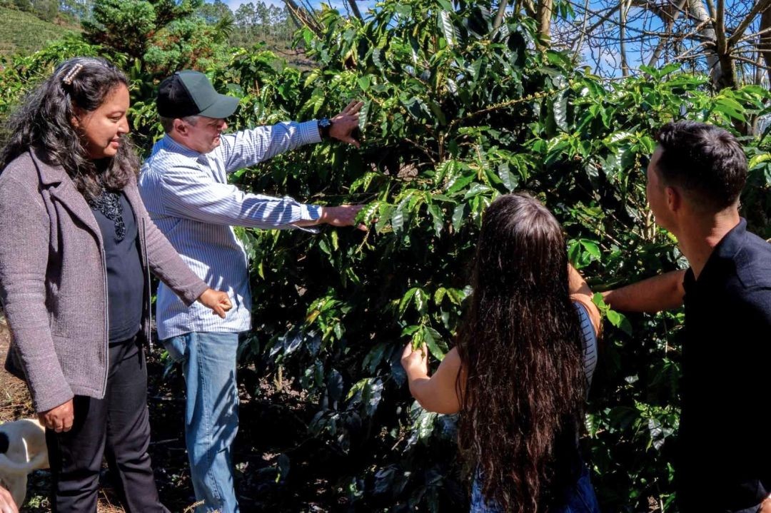 Produtores e visitantes observam pés de café em lavoura nas montanhas de Muniz Freire durante experiência de turismo rural ligada à Rota Cafés.