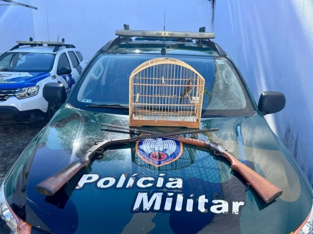 Polícia flagra armas e ave silvestre em cativeiro em Guaçuí