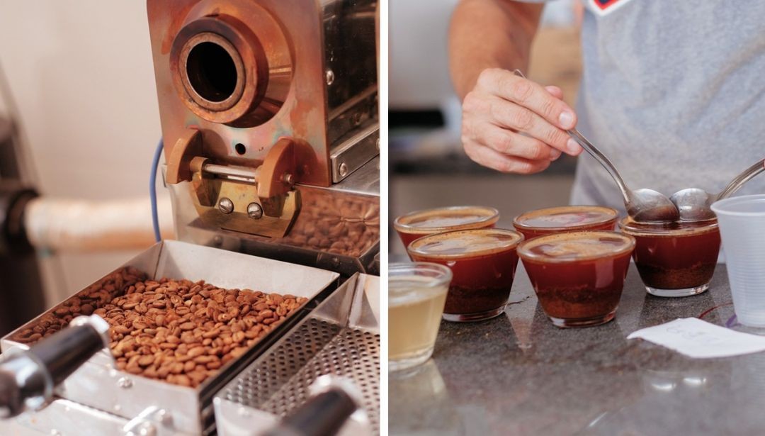 Composição em duas partes. À esquerda, detalhe de um torrador de café em operação com grãos de café torrados saindo para a bandeja de resfriamento. À direita, pessoa utilizando colheres de prova para realizar a quebra da crosta em xícaras de café durante teste sensorial (cupping).