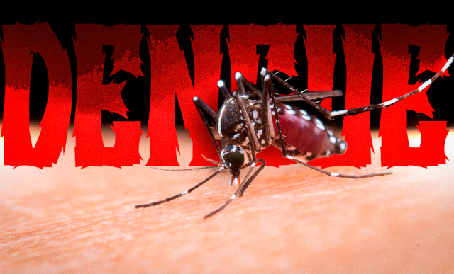 Aumento de casos de dengue em Alegre alerta para intensificação na prevenção e vigilância