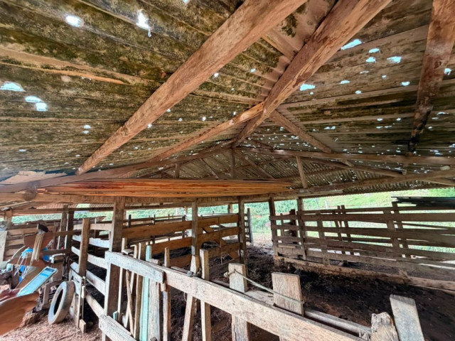 Chuva de granizo em Muniz Freire causa prejuízo de R$ 9,5 milhões na agricultura