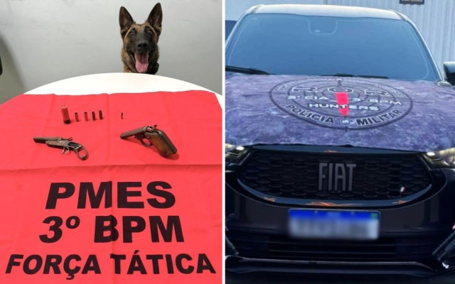 Cadela Alga auxilia polícia na apreensão de armas e veículo clonado em Bom Jesus do Norte