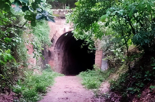 Alegre realiza Caminhada Ecológica até o Túnel Criciúma neste domingo (21)