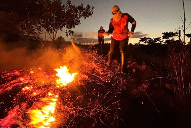 Alegre oferece treinamento gratuito de combate a incêndios florestais