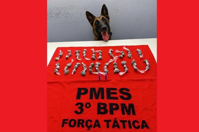 Apreensão de drogas em Guaçuí em ação da equipe K9 do 3º BPM