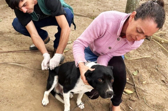 Vacinação antirrábica começa na zona rural de Ibitirama e depois seguirá na sede do município