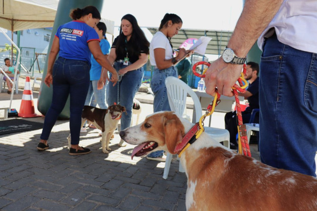 Programa Pet Vida oferta castração e vacinação de animais em Dores do Rio Preto