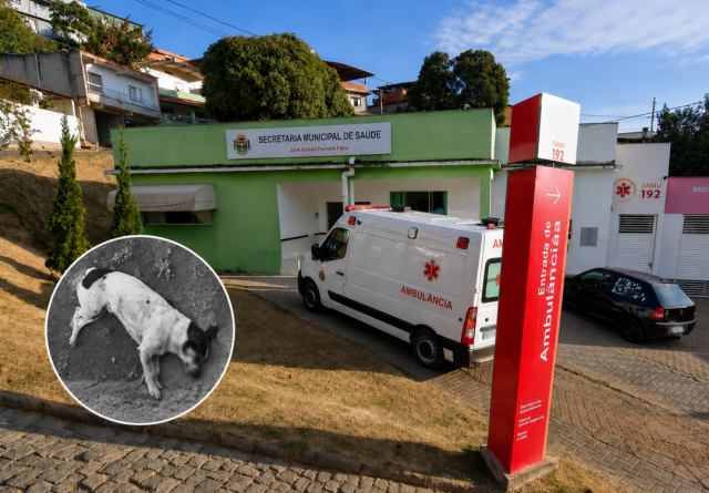 Suspeito de matar cadela é internado após deixar prisão em Dores do Rio Preto