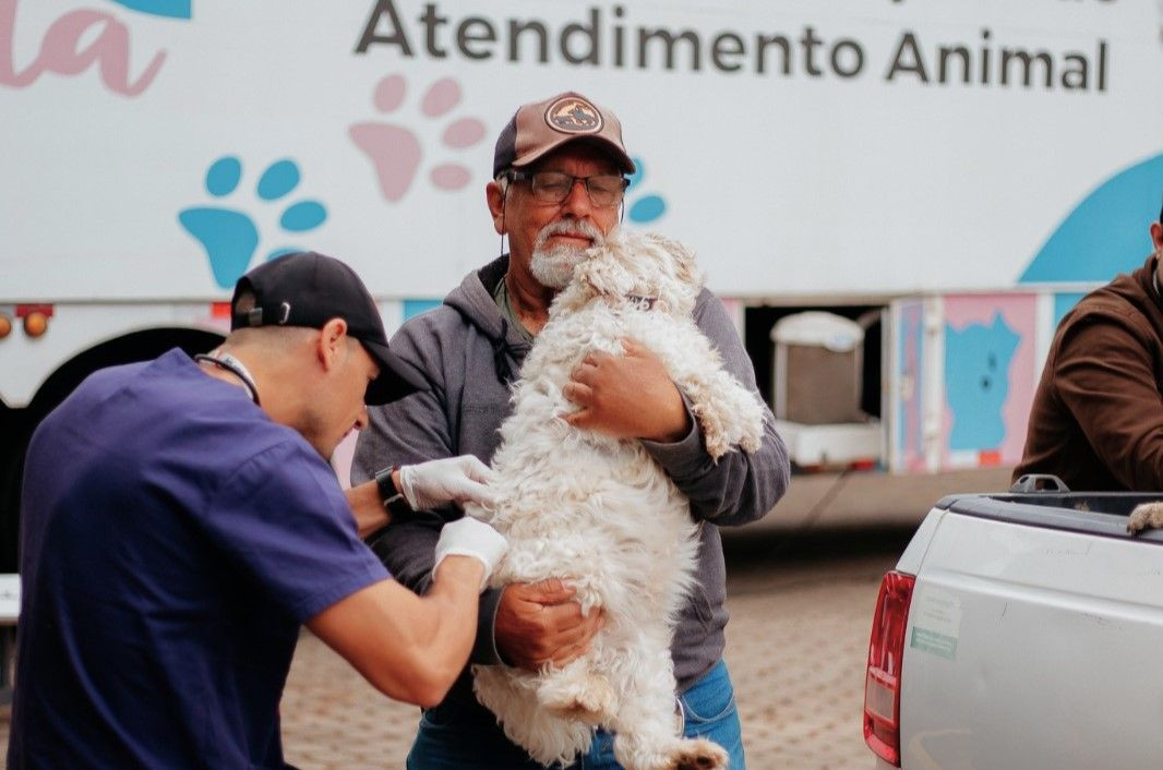 Homem de boné e óculos segurando com carinho um cachorro branco de porte médio nos braços enquanto o veterinário realiza o atendimento.