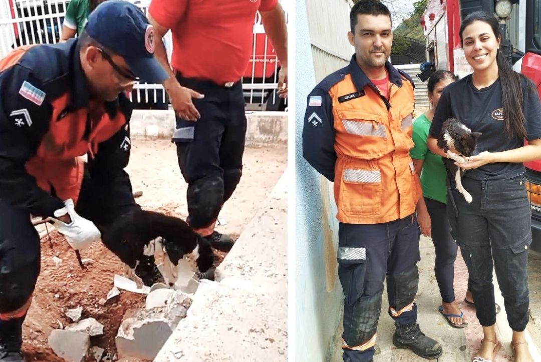 Montagem com duas fotos: à esquerda, um bombeiro agachado retirando uma gata preta e branca do solo escavado; à direita, um agente da Defesa Civil ao lado da tutora sorrindo e segurando a gata resgatada.